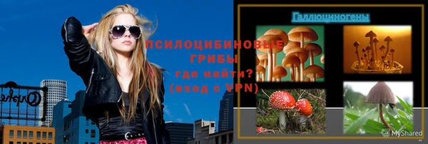 PSILOCYBIN Балахна