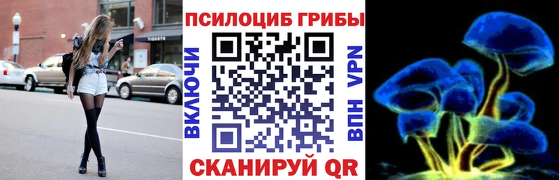 Галлюциногенные грибы Cubensis  Долгопрудный 